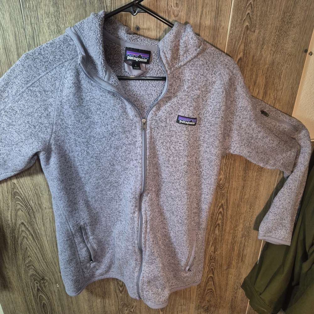 Patagonia Gray Performance Jacket